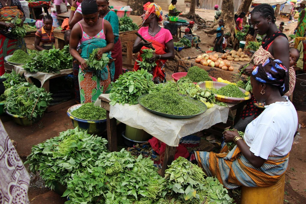 Three women organize different plants at a market.
