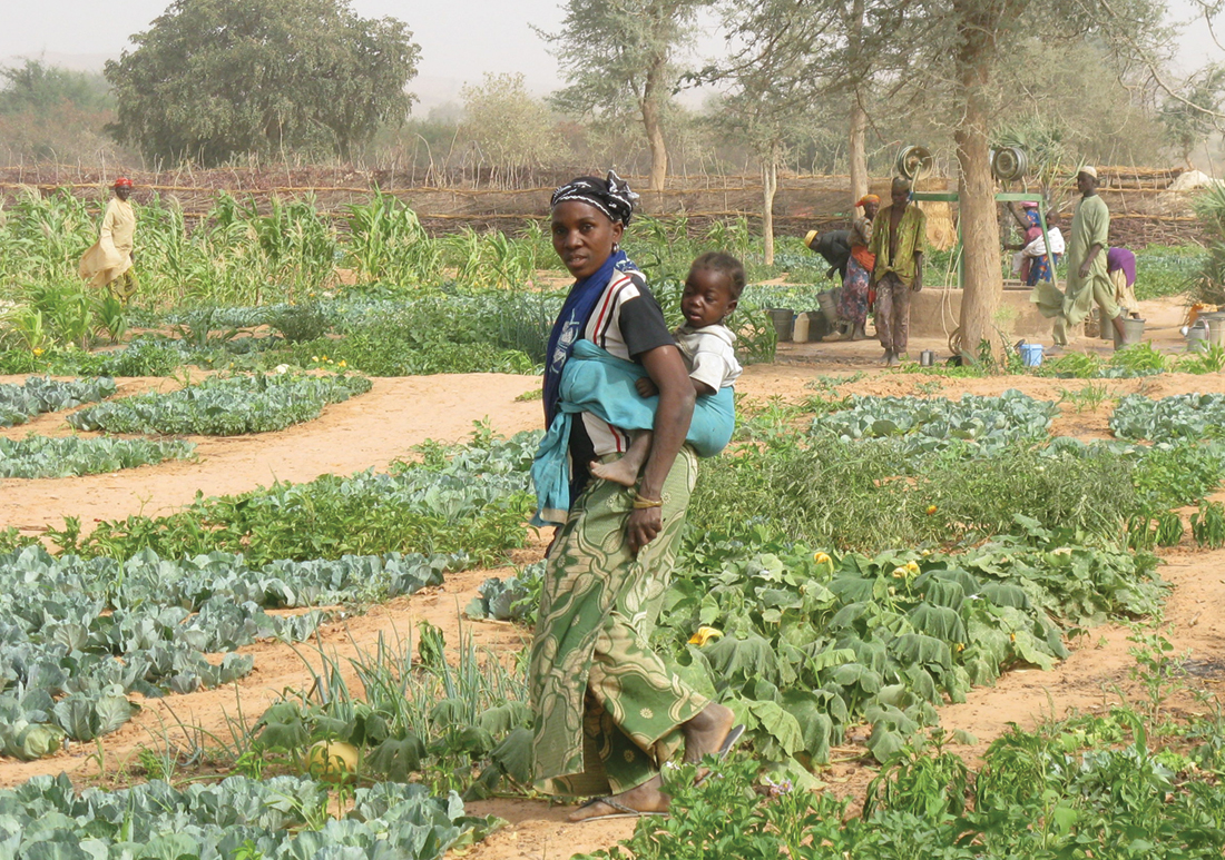 Photo: a woman in a vegetable field with a child on her back