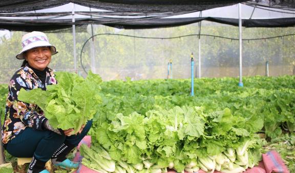 Woman sitting in front of her bok choy harvest.