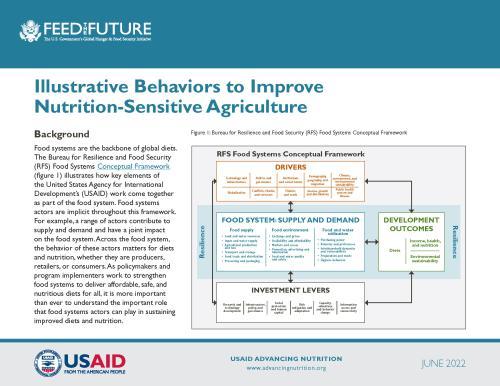 Improving Diets Through Food Systems | USAID Advancing Nutrition