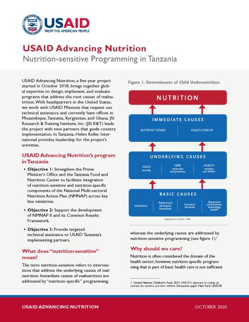 USAID Advancing Nutrition: Nutrition-sensitive Programming In Tanzania ...